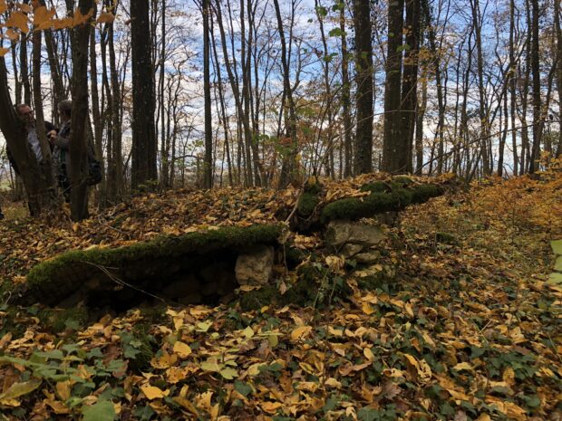 Abris, Bois du Jury Remains of a collapsed abris (shelter) in the Bois du Jury.
