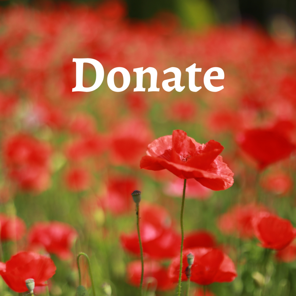 Donation button
